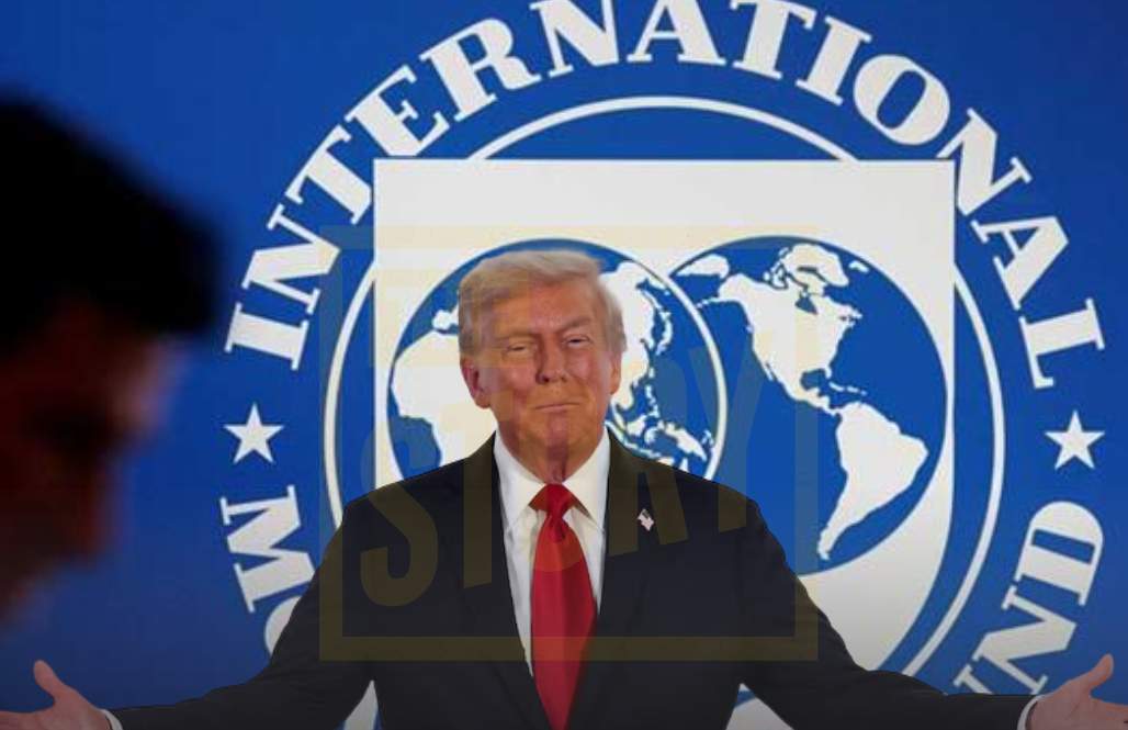 IMF Says AI Investment Has Helped Shield U.S. Economy from Sharp Slowdown