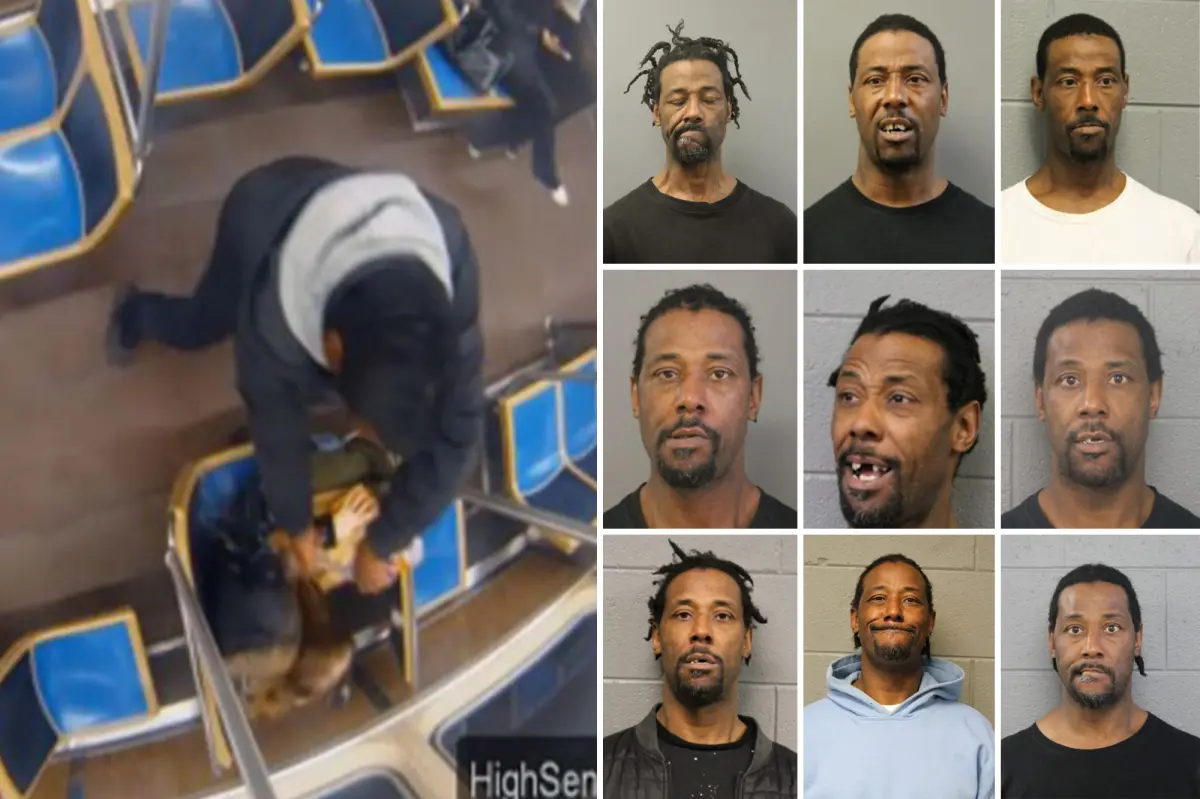 Chicago career criminal Lawrence Reed had over 70 arrests before setting woman on fire in train attack