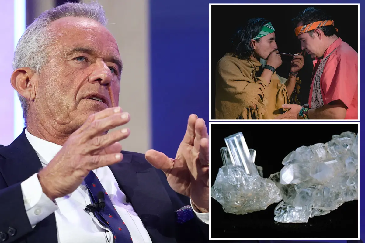 RFK Jr Allegedly Uses DMT as ‘Near-Death’ Experiment